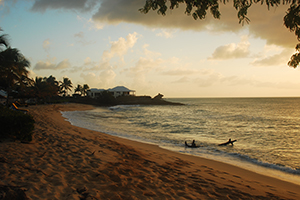 Hawksbill Beach Antigua